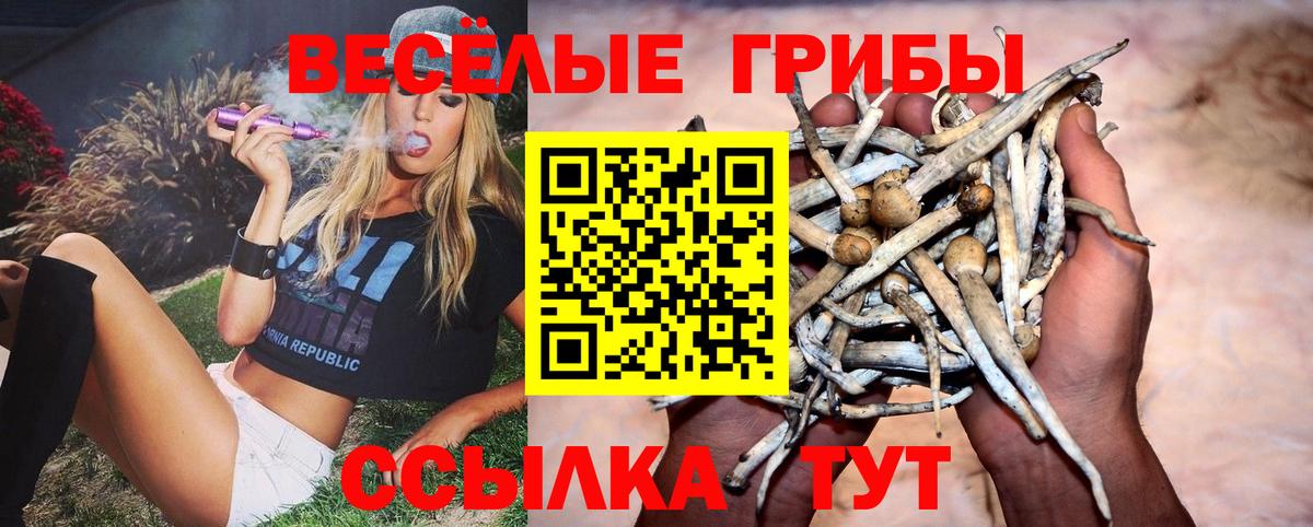 Псилоцибиновые грибы мицелий Касимов
